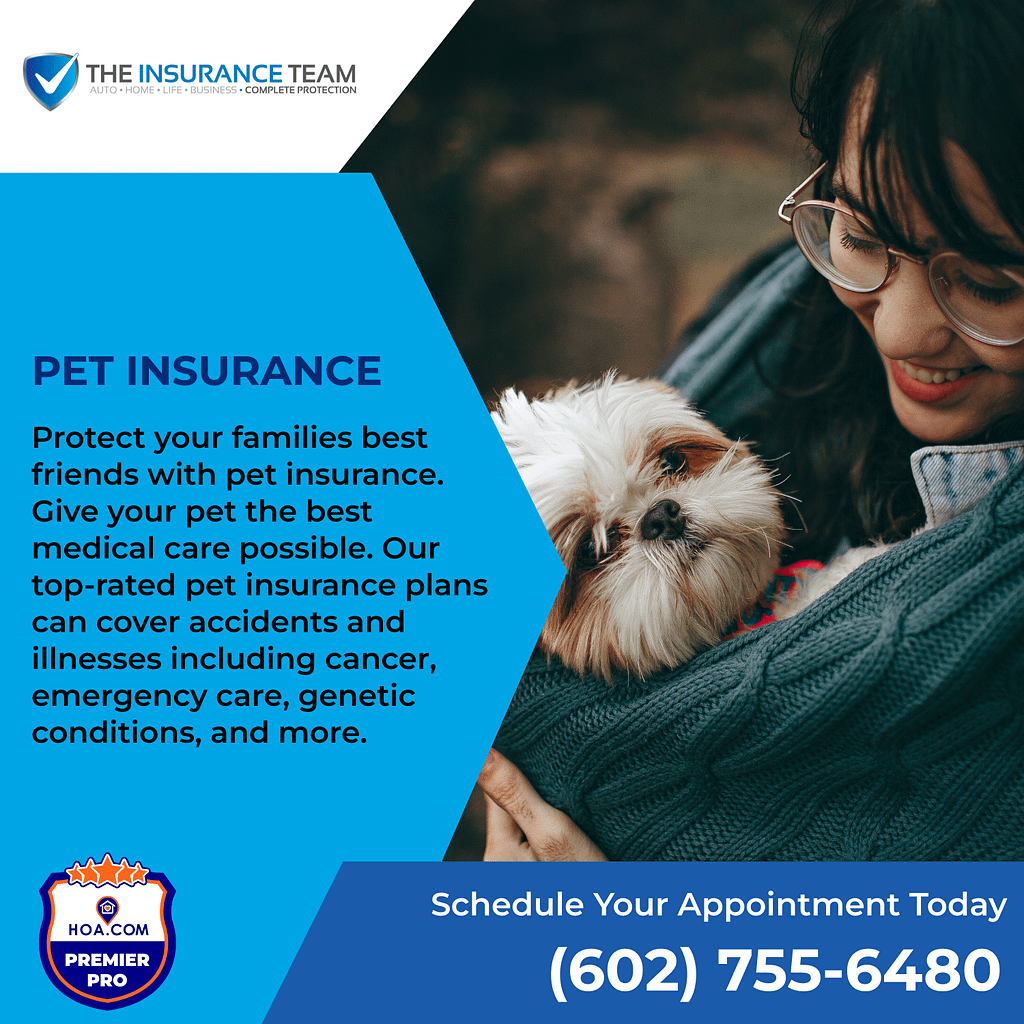 Pet Insurance: How I Can Help Protect Your Fuzzy Family Members In Phoenix