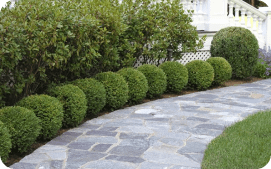 LANDSCAPING SERVICES
