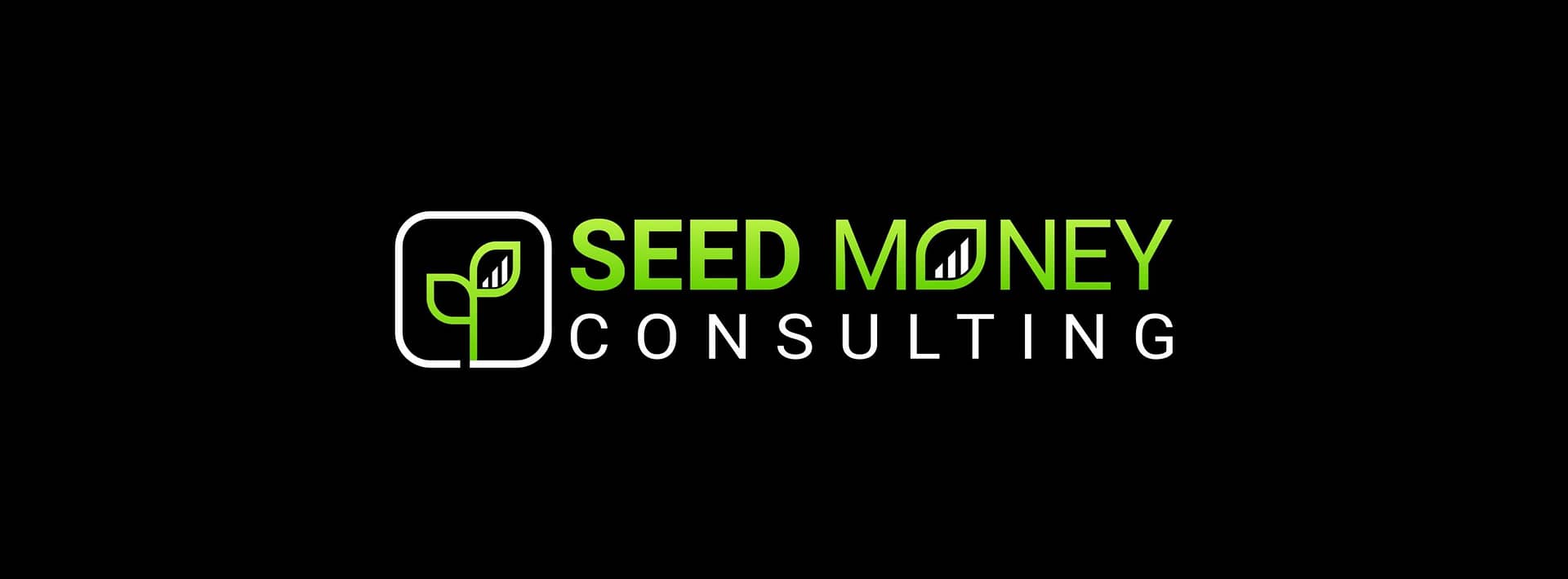 Seed Money Consulting Image